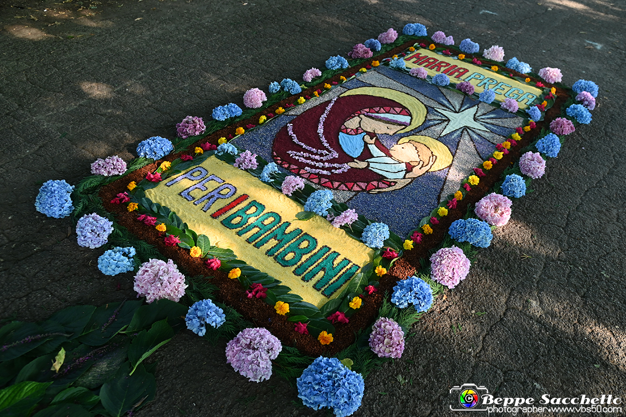 VBS_9819 - Infiorata Santuario della Madonnina di Villanova d'Asti 2024.jpg